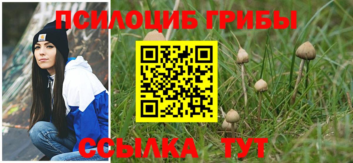 купить наркотик  Псилоцибиновые грибы мицелий  Псилоцибиновые грибы GOLDEN TEACHER  Вход с VPN  Изобильный 